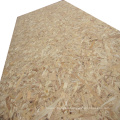 OSB board/OSB panel/OSB sheet